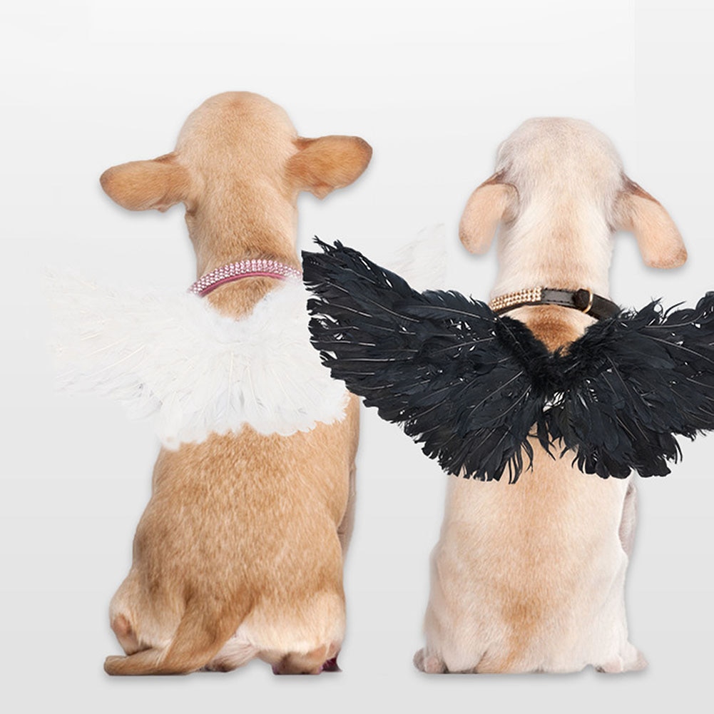 animale domestico cane gatto pipistrello ragno Cosplay puntello Halloween pipistrello fantasia vestire con Cappuccio costume bel Vestito Di Natale Vestiti Decorativi