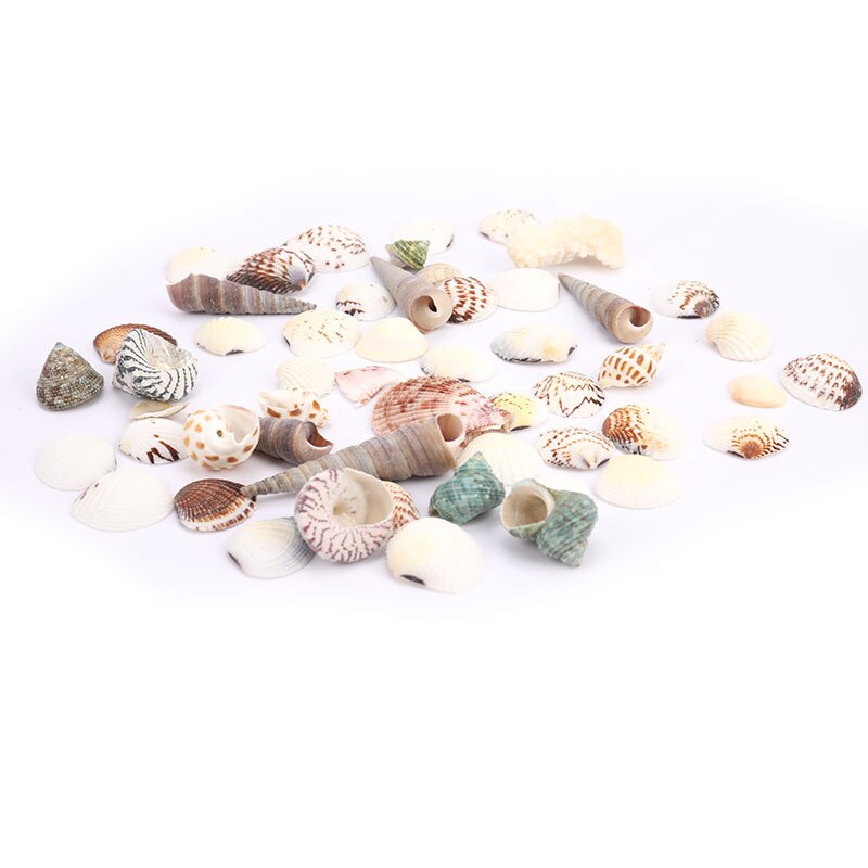 Mixed Ocean Sea shells Wedding Decor Beach Theme Party, Seashells Home Decorations, Fish Tank,Candle Making sea star