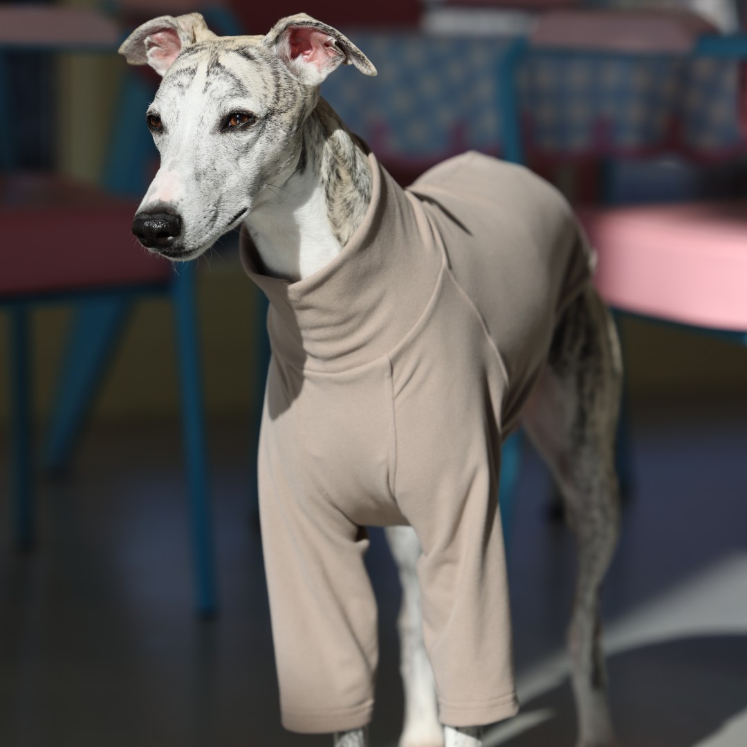 Ubranka dla chartów i chartów na jesień/zimę – miękkie i elastyczne ubranka dla zwierząt: Xl / Szary