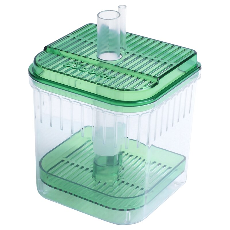 Kunststoff Platz Aquarium Aquarium Filter Unterseite Kasten transparent Grün: Ursprünglich Titel