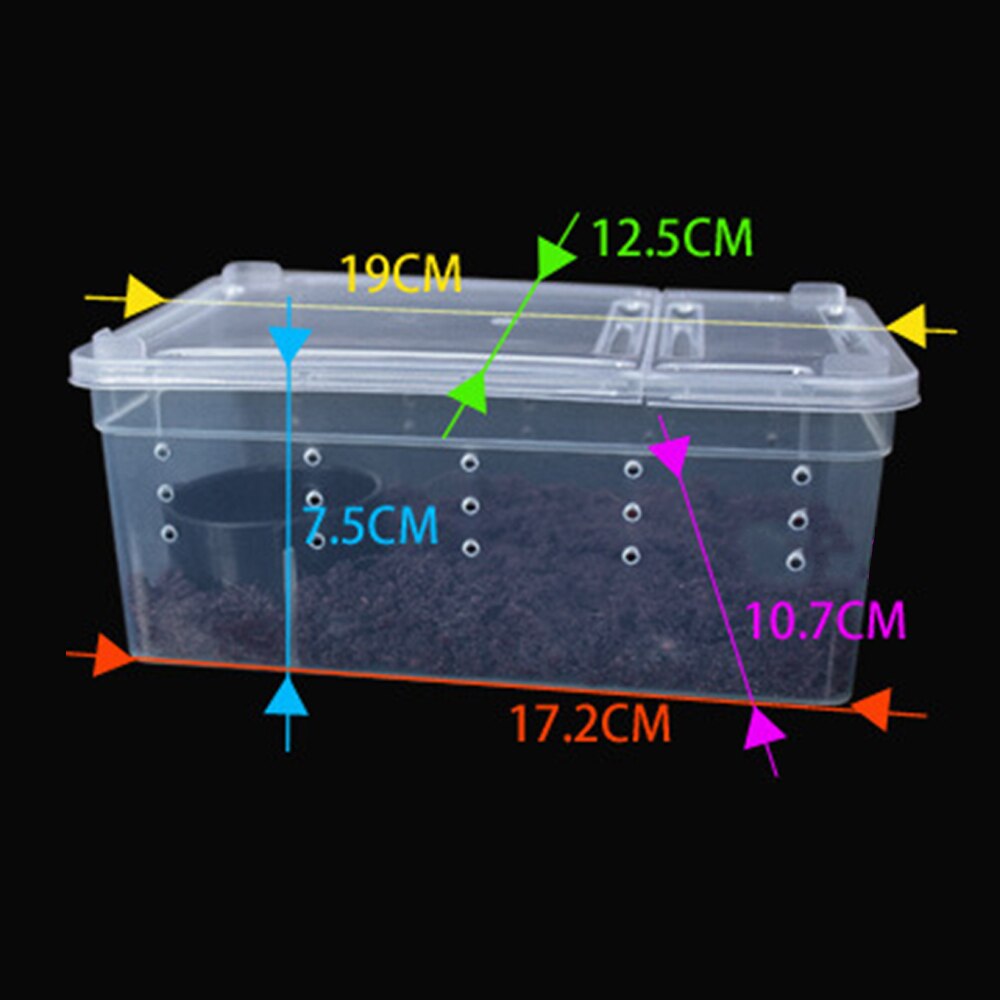 for Habitat lizard insect Amphibian Frog Spider 19*12.5*7.5CM Plastic Small Reptile Pets Feeding Cage Box