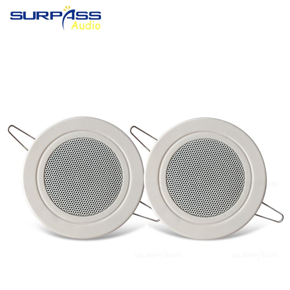 Mini Ceiling Speaker 3inch Roof 3-6W Passive Speakers Horn PA System For Home Background Music Cinema Theater Player: two piece