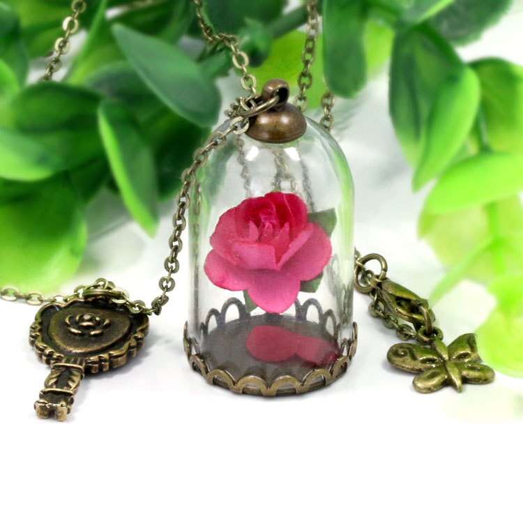 Schoonheid en Het Beest Retro Glazen Flacon Ketting Vlinder Wens Accessoires Ketting Rode Rose Gedroogde Bloem Sieraden voor Vrouwen Meisjes: 12