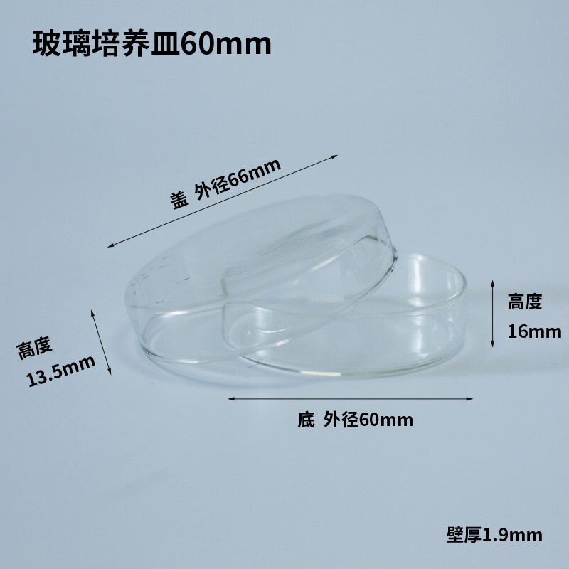 Glass Petri Dishes,60/75/ 90 /100/ 120mm,Experimental Cell Bacterial Culture Dishes,Glass Plates,Experimental Equipment