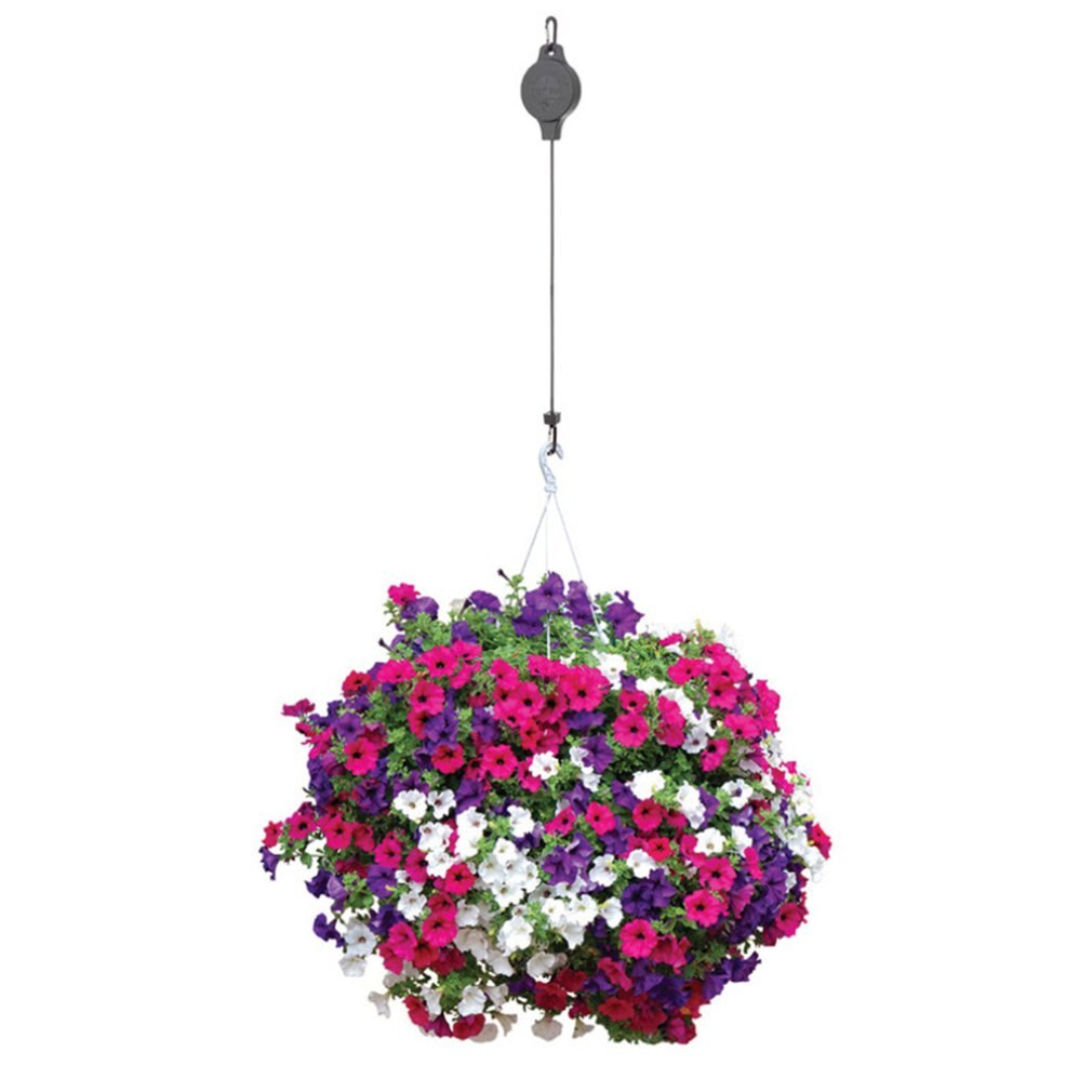 Retro Hanging Garden Basket Pull Down Hanger Retractable Pulley Baskets Plant Pots Hanging Basin Retractable Hook