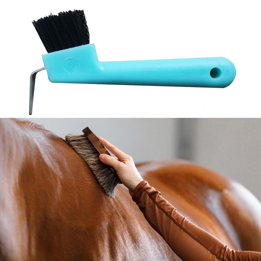 Pourquoi faut-il bien brosser un cheval ? - Equinoxe Shop