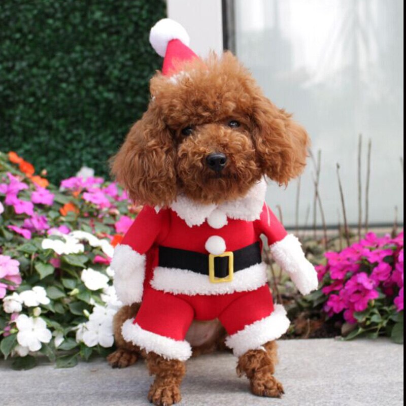 Christmas Pet Dog Cat Costumes Funny Santa Claus Costume For Dogs Cats Winter Warm Dog Clothes Chihuahua Pug Yorkshire Clothing