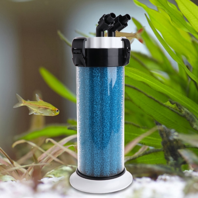 IAFVKAI Aquarium Vorfilter Schwamm 6 Stück - 8x4cm Für Filterpumpe