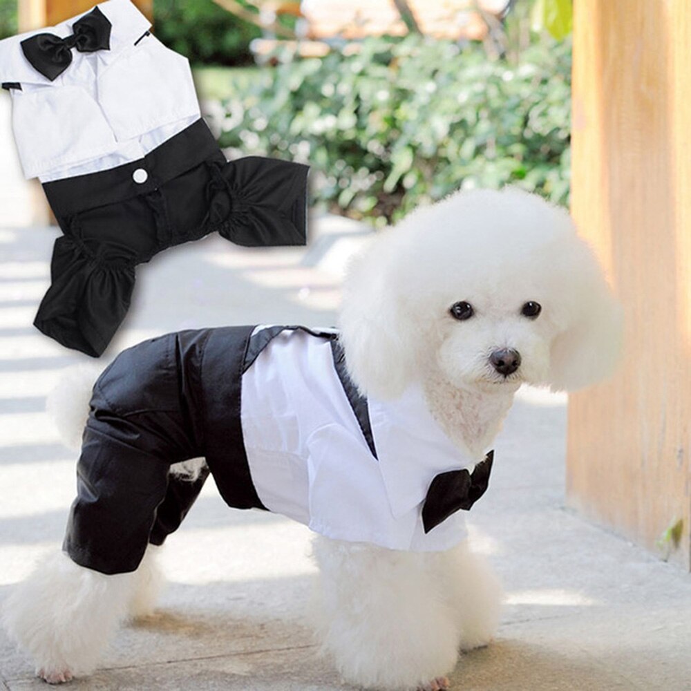 Perro cachorro de peluche caniche Chihuahua abrigo guapo mascotas traje de perro ropa de boda mascota esmoquin del príncipe pajarita Mono para cachorro
