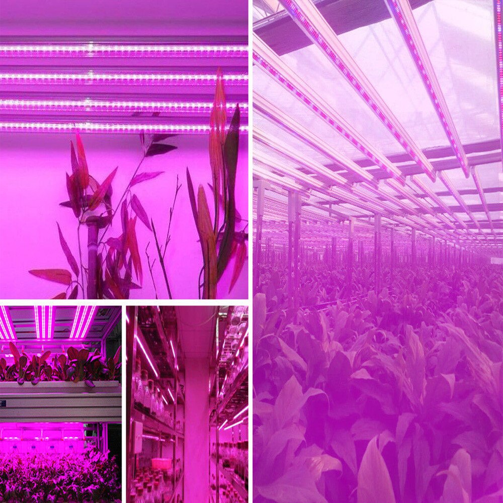 Lampe horticole de croissance T8, 30W, 60cm, 85V ~ 265V, spectre complet, éclairage pour serre hydroponique, tente, plantes