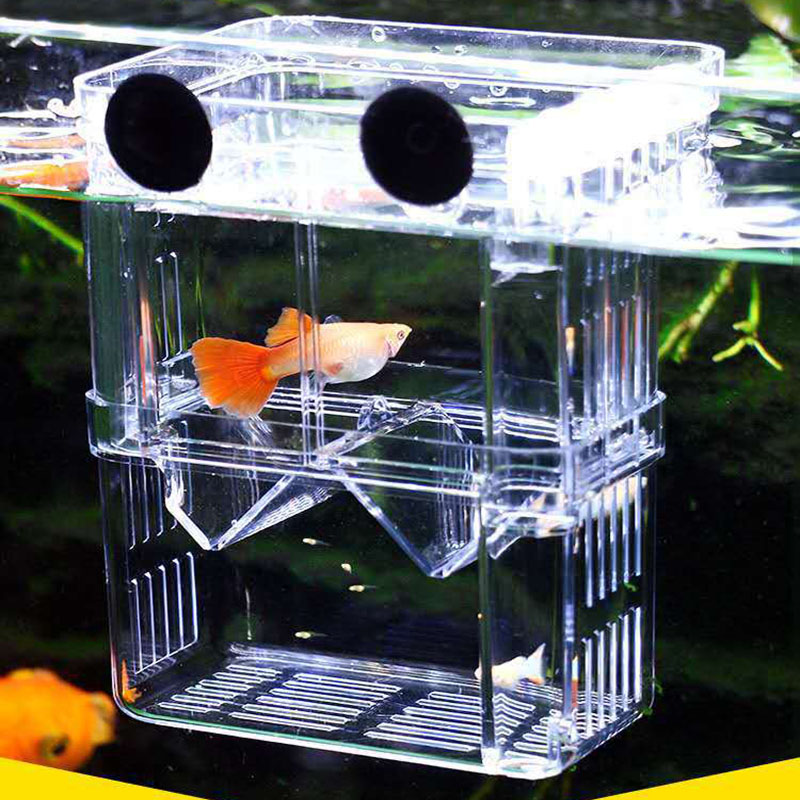 S/L/XL Aquarium Fokker Box Vis Fokken Isolatie Box Vis Broederij Acryl Divider Garnalen Clownvis Agressieve Vis Gewond