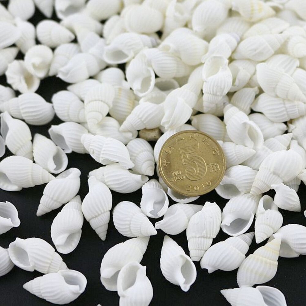 100pcs White Mini Sea Shell Conches Craft Wedding Garden Aquarium Decoration
