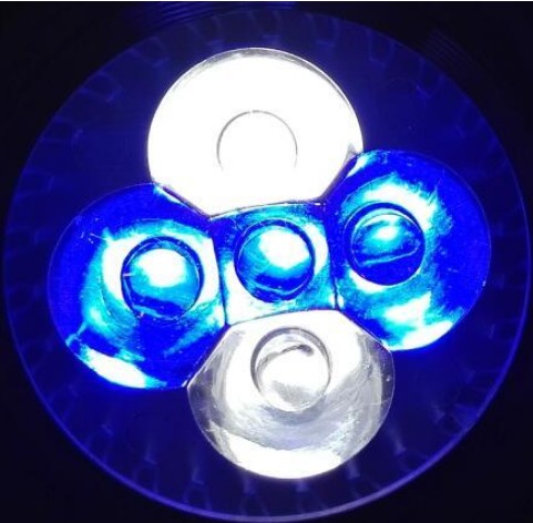 Luz LED para acuario para pecera, bombilla de coral de arrecife, luz de cultivo E27 para peces, plantas acuáticas, 10W: Verde