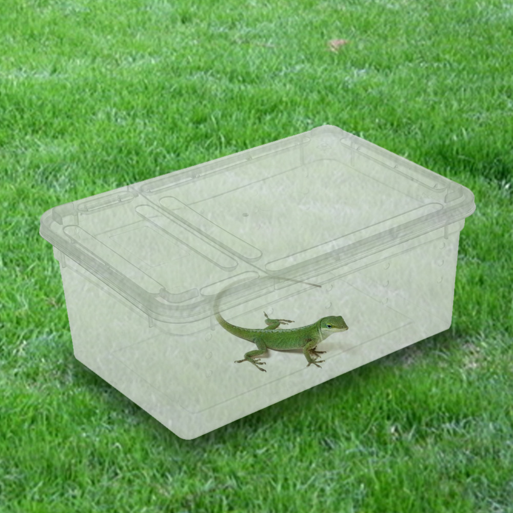 Plastic Reptile kweekbak voeden huis vogelspinnen gecko slangen lizard terrapin kikkers 19*12.5*8 cm