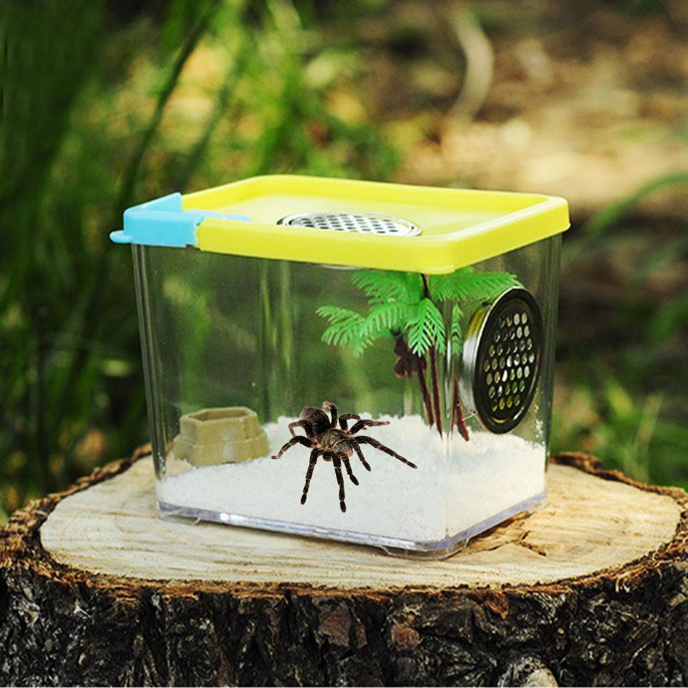Reptiel Fokkerij Box Clear Acryl Reptiel Terrarium Voerbox Voor Spin Schorpioen