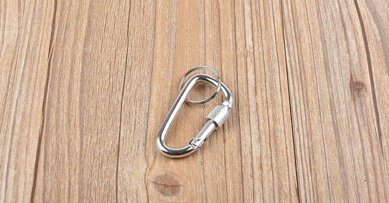 Climbing Carabiner D Shape Climbing Buckle Lock Security Safety Lock Outdoor Climbing Equipment 47*22mm: Silver