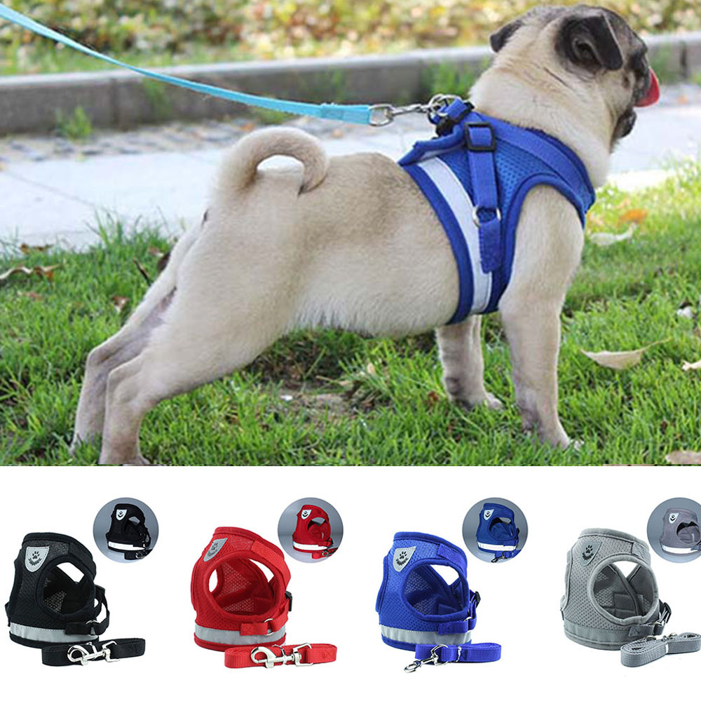 No pull valp hund sele koppel vadderad väst sele för små hundar chihuahua mops reflekterande nylon mesh väst sele djurtillbehör