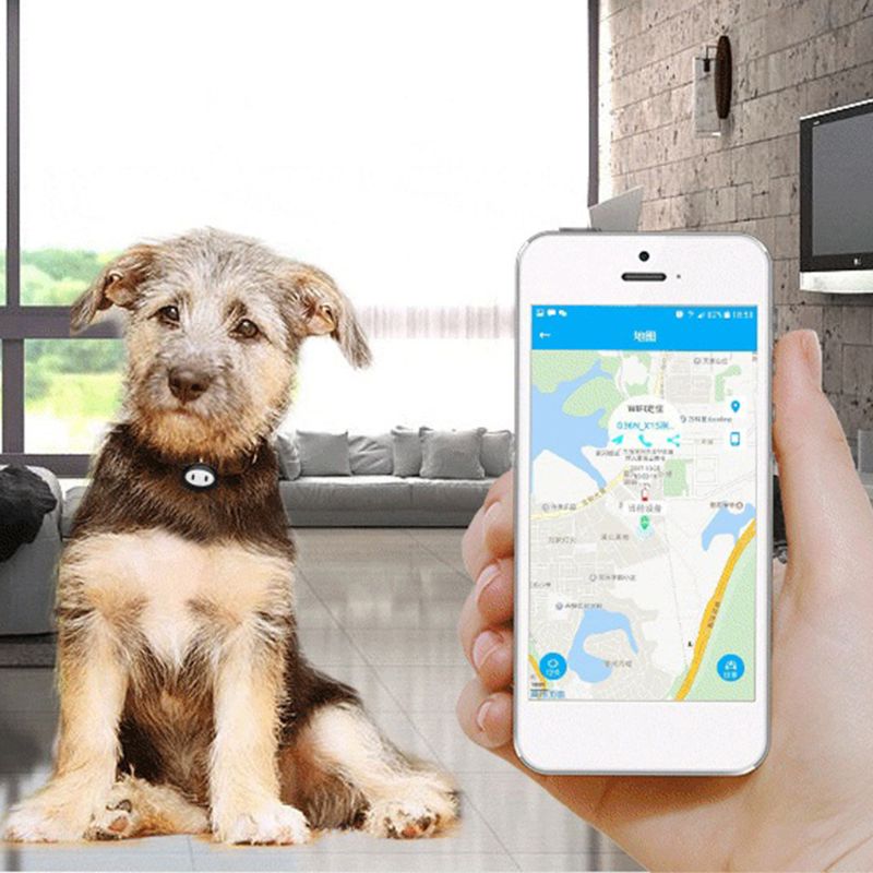 Pet Locator Intelligence GPS Location Waterproof Tracker Collar Geo Standby Dog Cat Puppy Finder Alarm Voice App Wholesalse