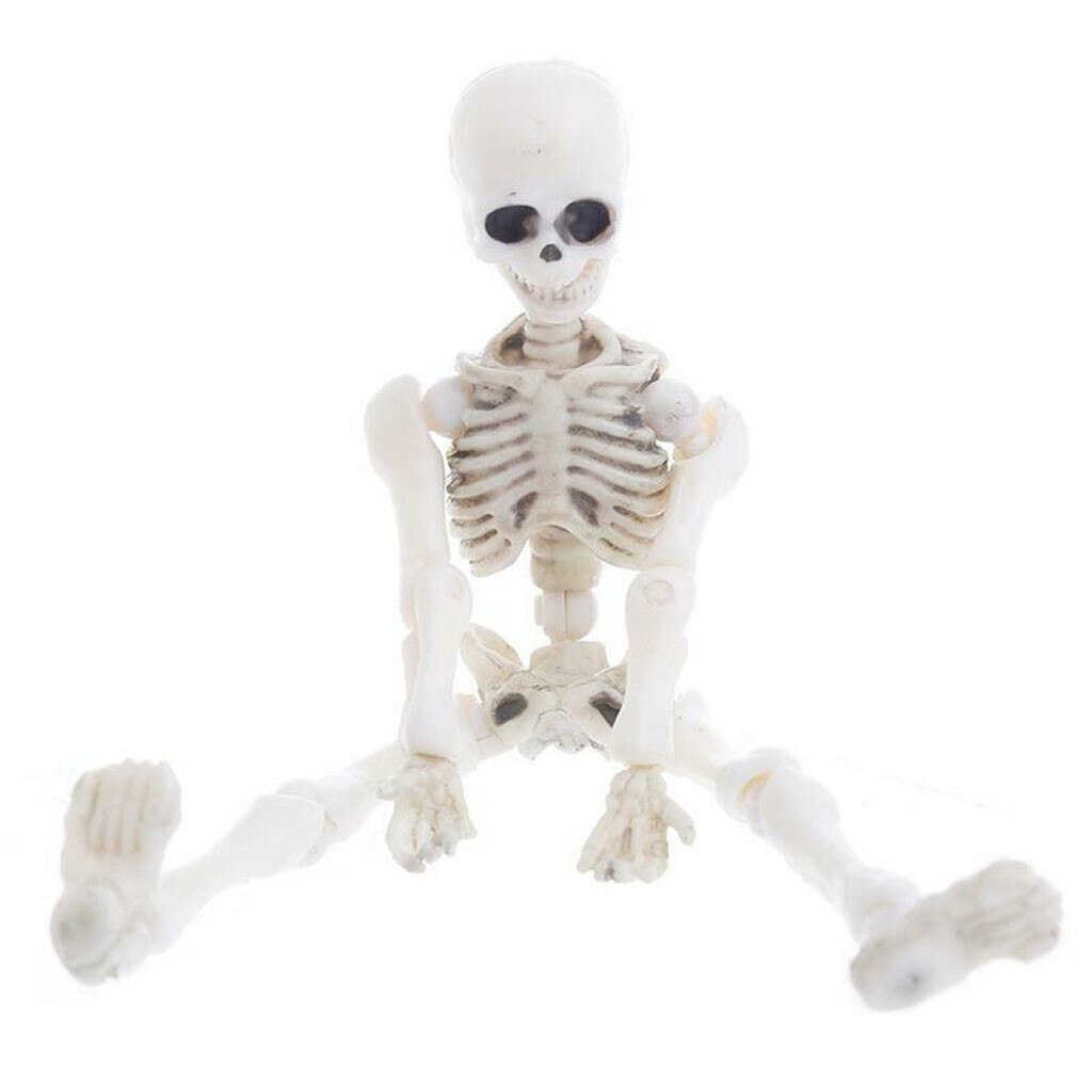 Halloween Beweglichen Skelett Menschlichen Modell Schädel Voll Körper Mini Figur Spielzeug Halloween flexibel Menschlichen Anatomischen Anatomie Knochen