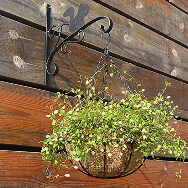 Hangmand voor planten, tuinbloempot met ketting, plantenbak, balkondecoratie, 2 stuks , -8 inch