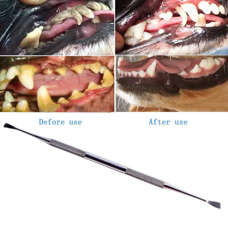 Værktøj til rengøring af kæledyr tænder på begge sider hunde katte tandsten fjerner tandsten rustfrit stål skraber kæledyrsforsyninger