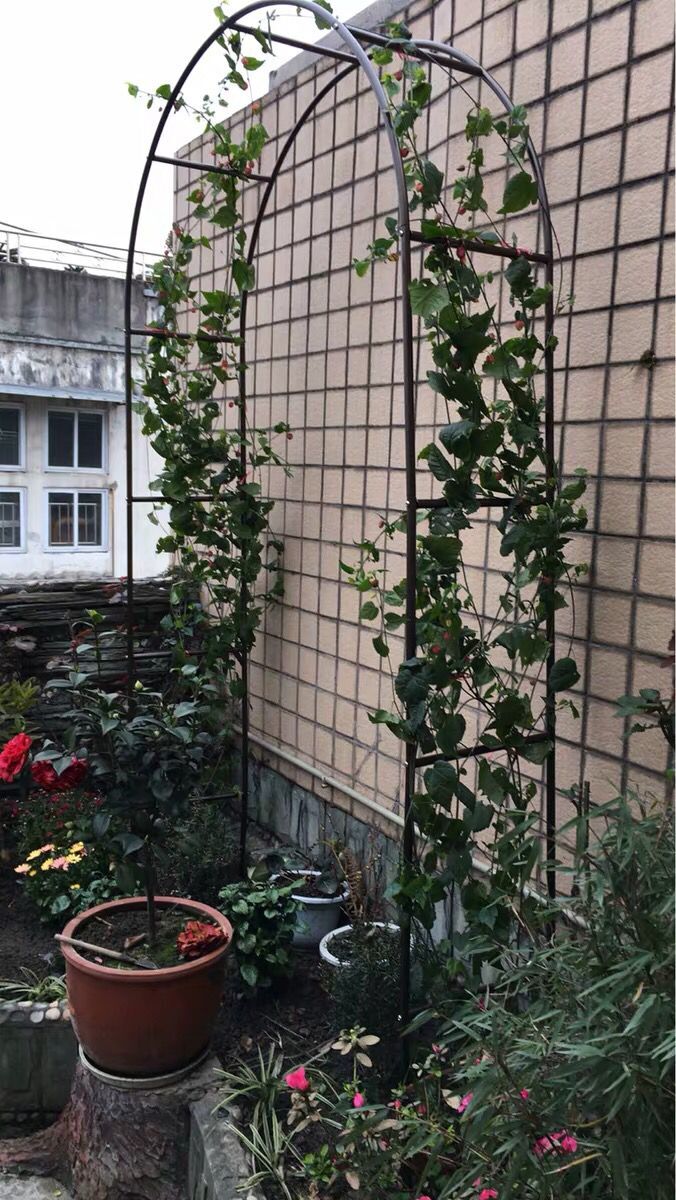 240 x 140cm metal bryllup bue pergola have bagtæppe stand buer vintage bryllup dekoration centerpieces diy bryllup favor: Sort