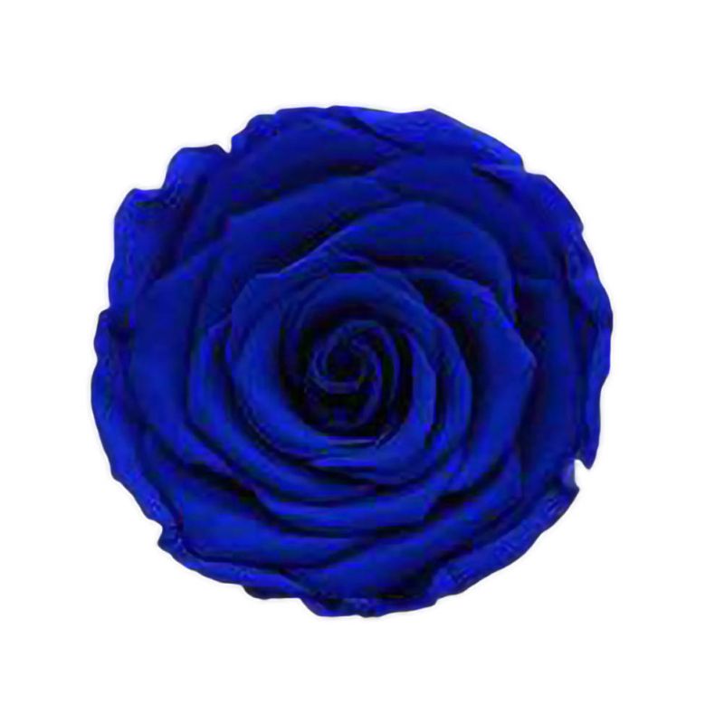 6 Roses Dried Flower Flower Head Eternal Flower B-class Wedding Family Decoration Valentine's Day Mother's Day: DL