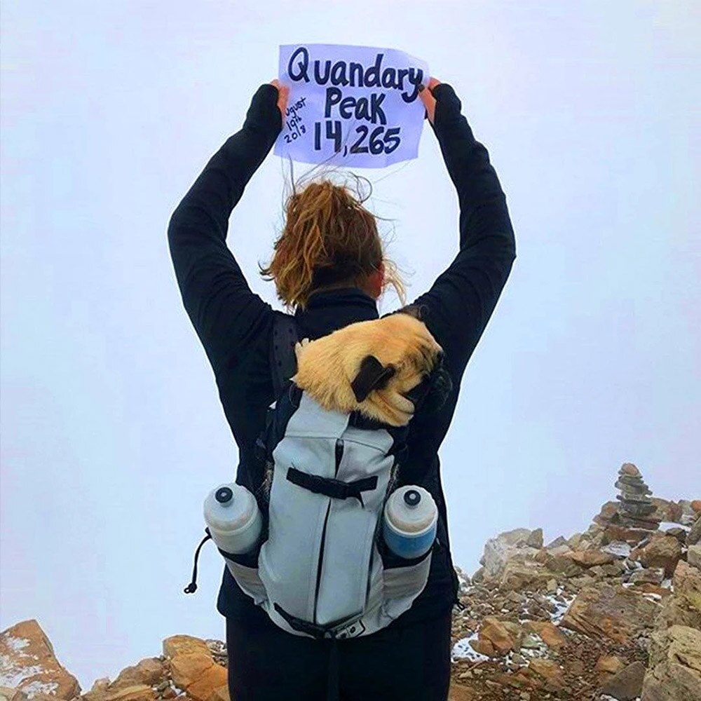 Hondendraagtas, rugzak, hoofdtas voor grote honden, retriever, franse bulldog, buitenfiets, wandel- en reistassen, s-xl