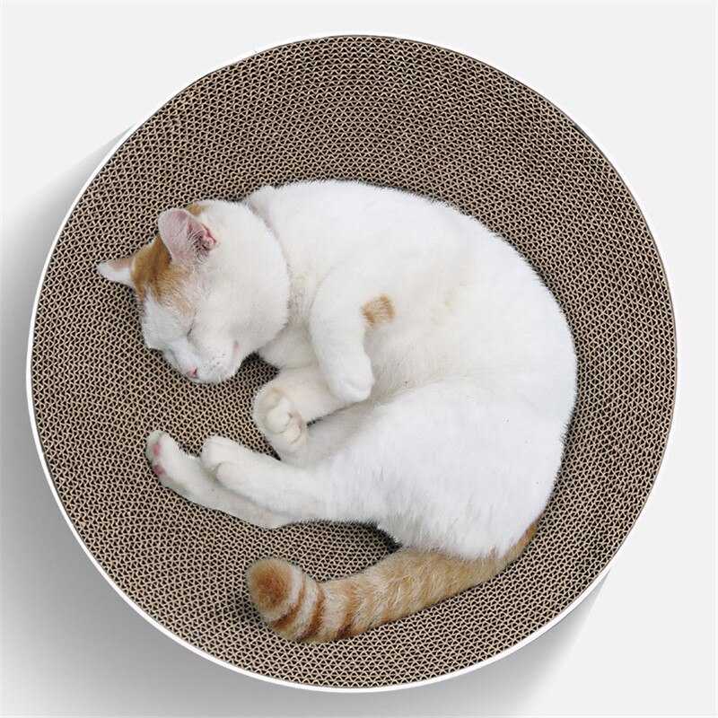 Katze Runde Gut Papier kratzen Gremium Bett matt Kätzchen Katzenminze Scratcher Krallen Pflege Schleifen NäGel Haustier Katze Kratzen Karton
