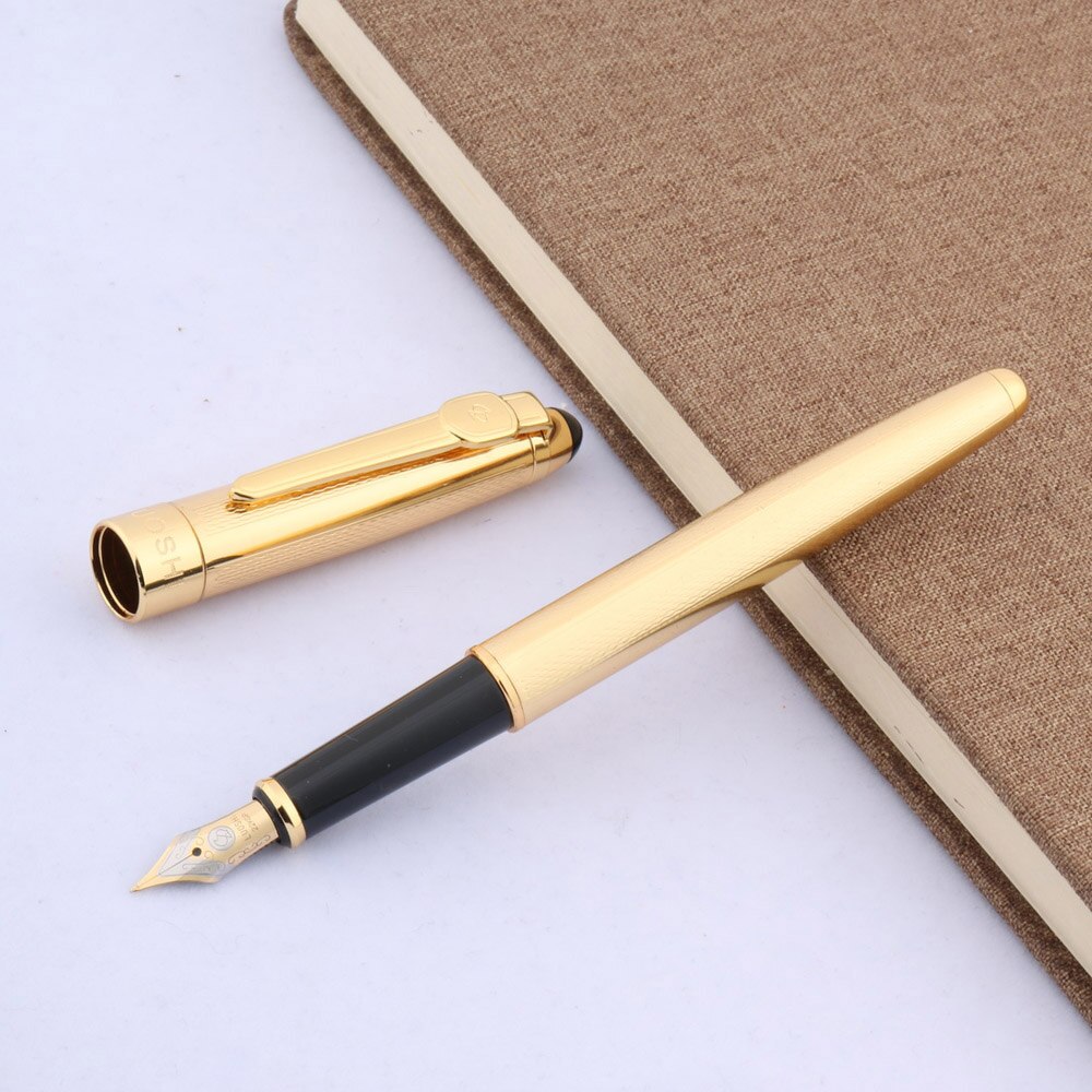 CHOUXIONGLUWEI classique école métal pistolet gris doré vague étudiant stylo plume: A3