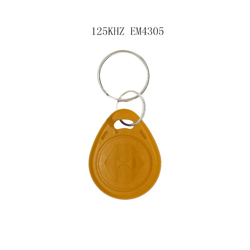 50/100Stck RFID 125KHZ Schild kopie wiederbeschreibbare schlüssel wiederholen löschen em4305 T5577 kette schlüssel Ring induktion Zeichen: 100Stck