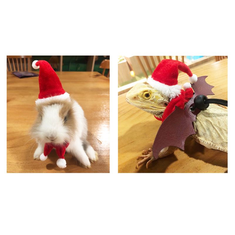 Bearded Dragon Lizard Santa Hat+Scarf+Traction Rope Christmas Xmas Costume Set B85C