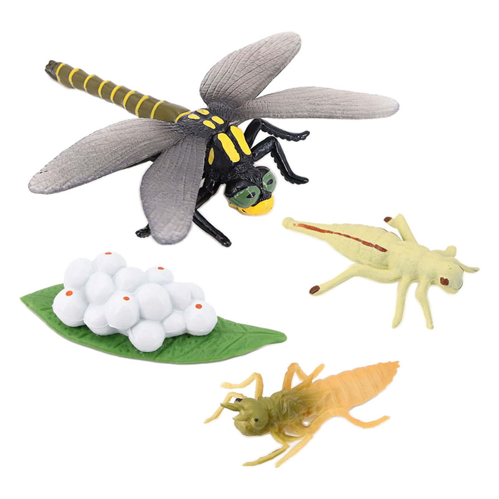 4 Stadia Levenscyclus Van Een Libel, Insecten Plastic Libel Speelgoed Figuur-Authentieke Hand Painted Model