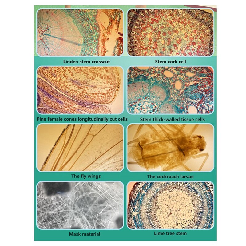 400X Micros-cope Mobile Phone Universal Microscope HD Camera Fill Light Camera Lens