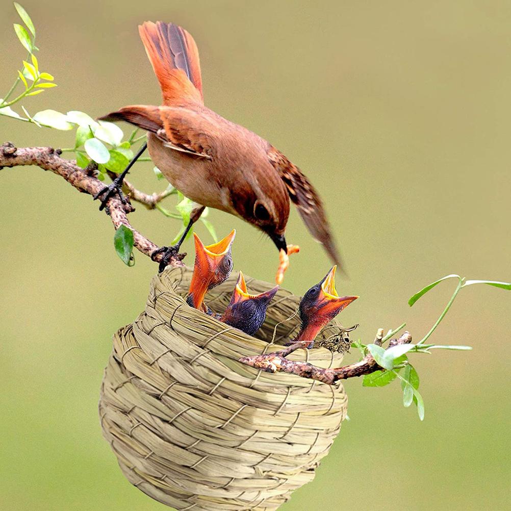 Hand-Woven Straw Bird'S Nest Outside Bird House Natural Hummingbird Nest Outdoor Decoration Woven Parrot Nest House Pet Bedroom