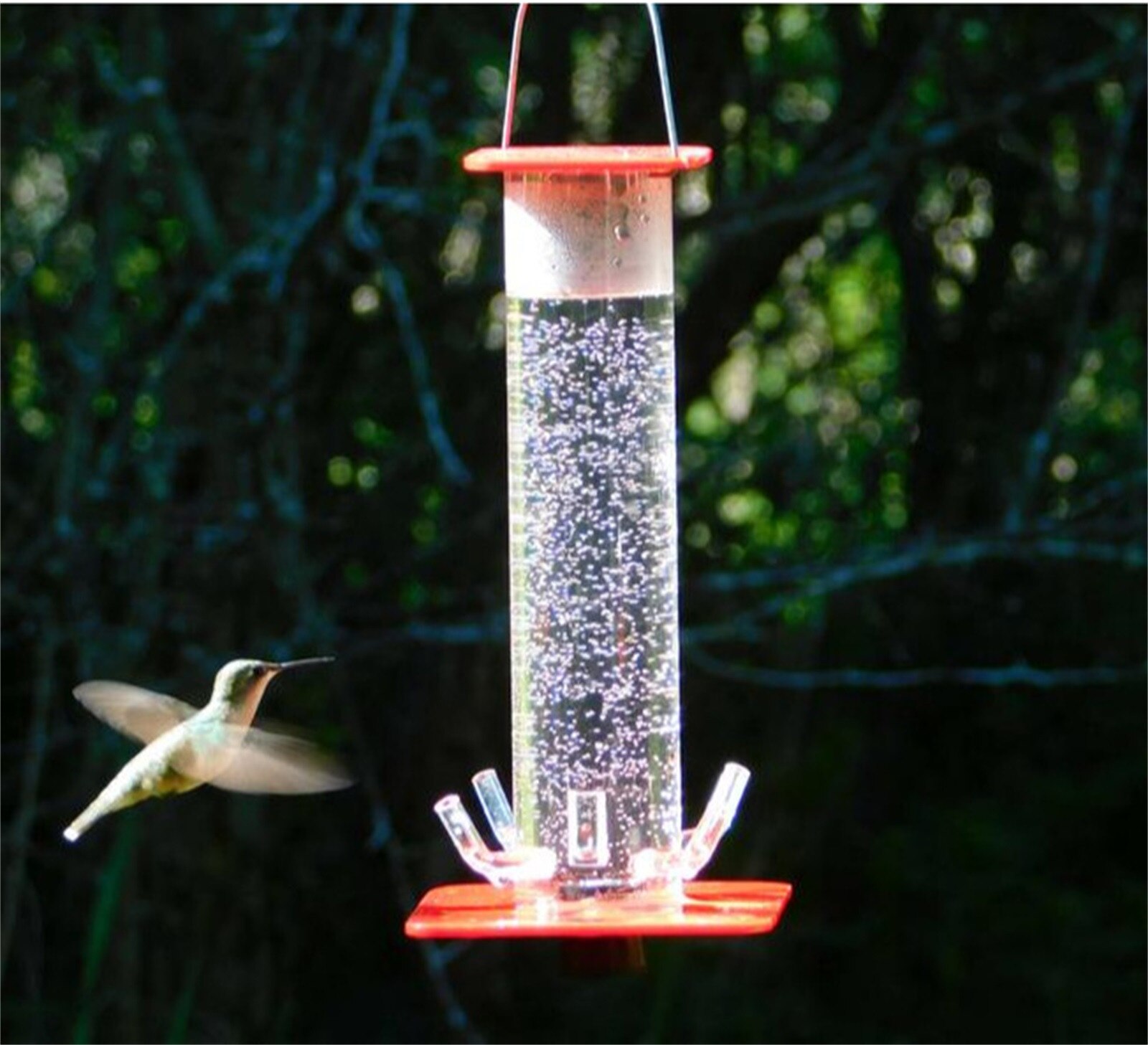 Hummingbird Feeder Unique Feeding System With Bright Transparent Tube