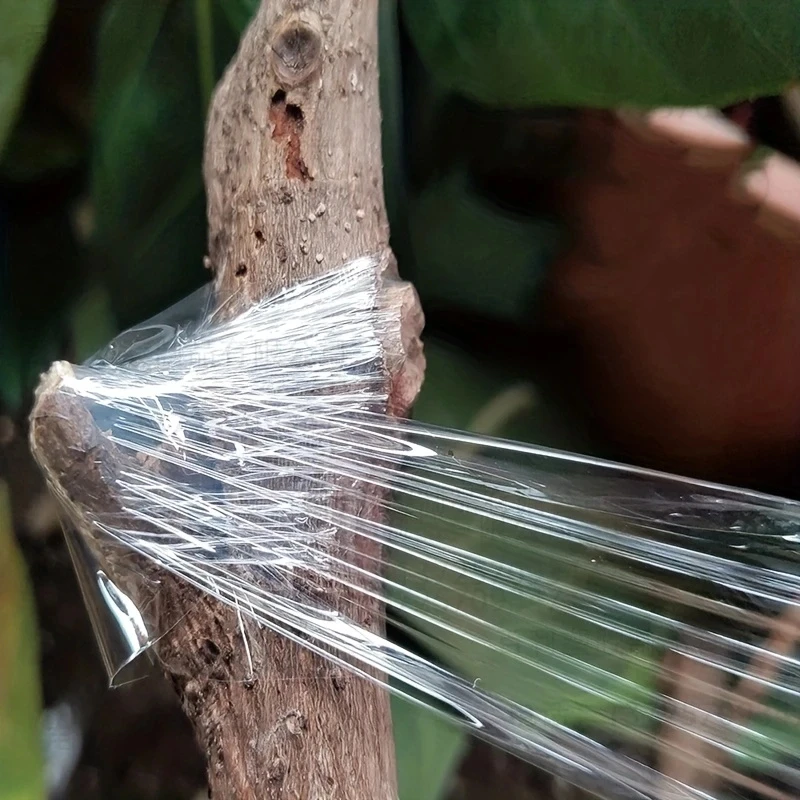 Cinta autoadhesiva de PE para injerto, película estirable para jardín, árboles, plantas, plántulas, vid, tomate, accesorios para injerto