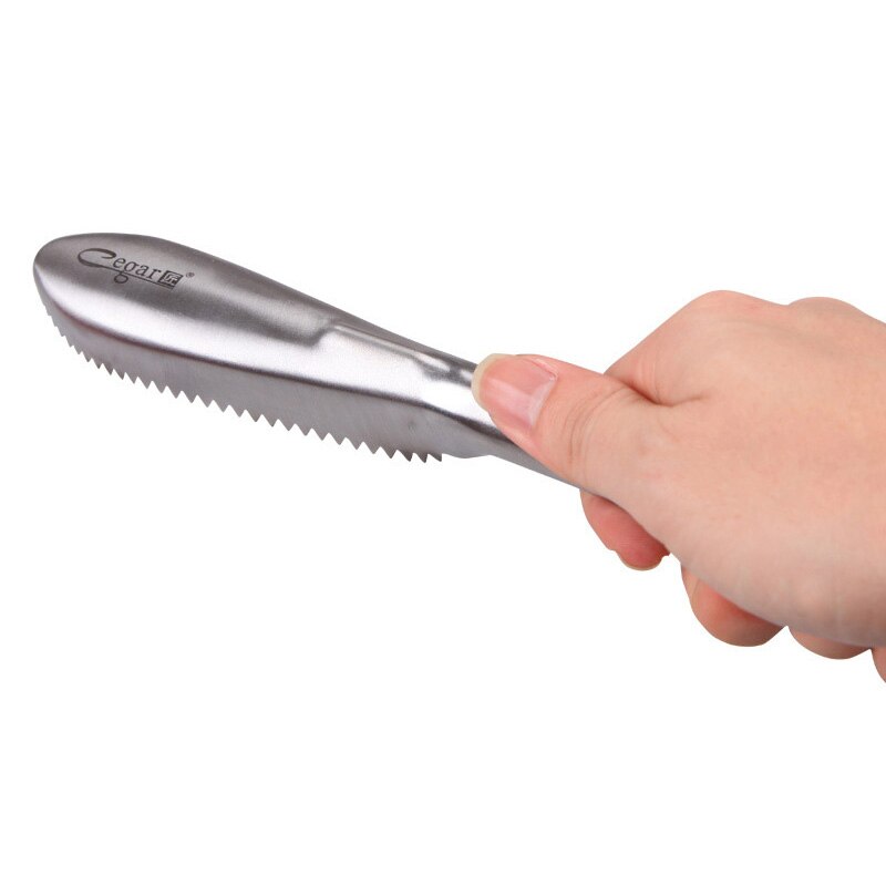 Couteau grattoir à écailles de poisson | En acier inoxydable, outils de nettoyage du poisson, brosse de nettoyage de la peau, outils de cuisine