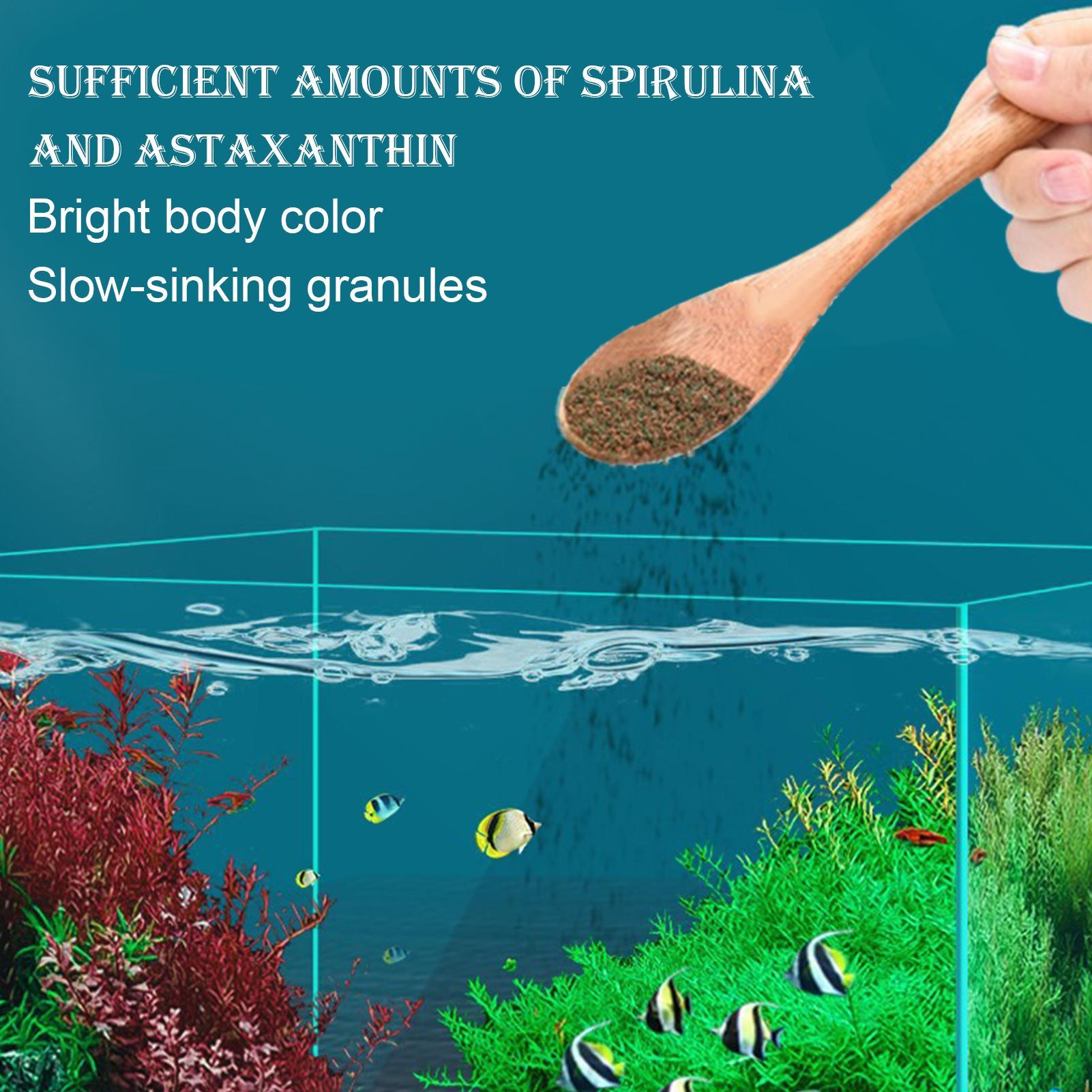 Betta-Futter Zierfischfutter Aquariumfischfutter für Züchter, Hobbyisten, Süßwasserfische, Angler, Zuhause, Büro, Geschäfte, Läden, Restaurant