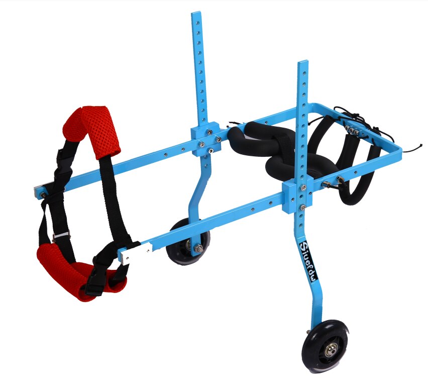 Kæledyr kørestol/lammet kæledyr kørestol/generel lammelse hund scooter/handicappet hund rehabilitering kørestol/hund kørestol: Xxs / Blå
