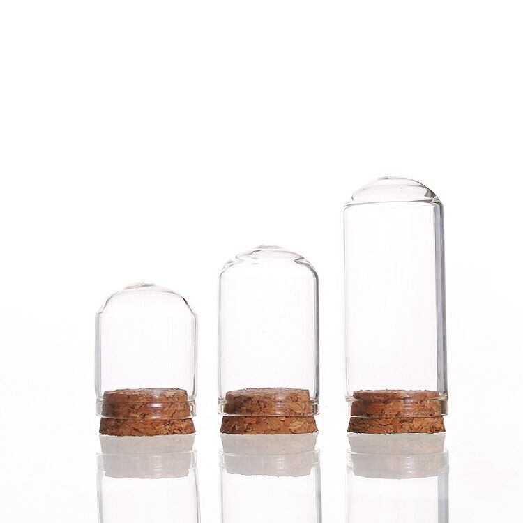 20pcs Clear Glass Cover With Wooden Base Tabletop Display Container Landscape Vase Durable Glass Jar Dome Glass Cover Home Decor
