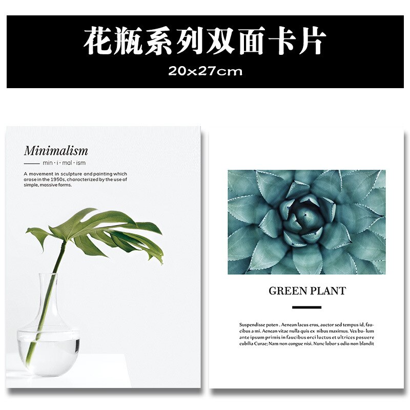 Magazine Cover Dubbelzijdig Card 20*27Cm Winkel Fotografische Prop Ins Kaart Kaart Papier Filmen Achtergrond Papier: Double sided Vase Card