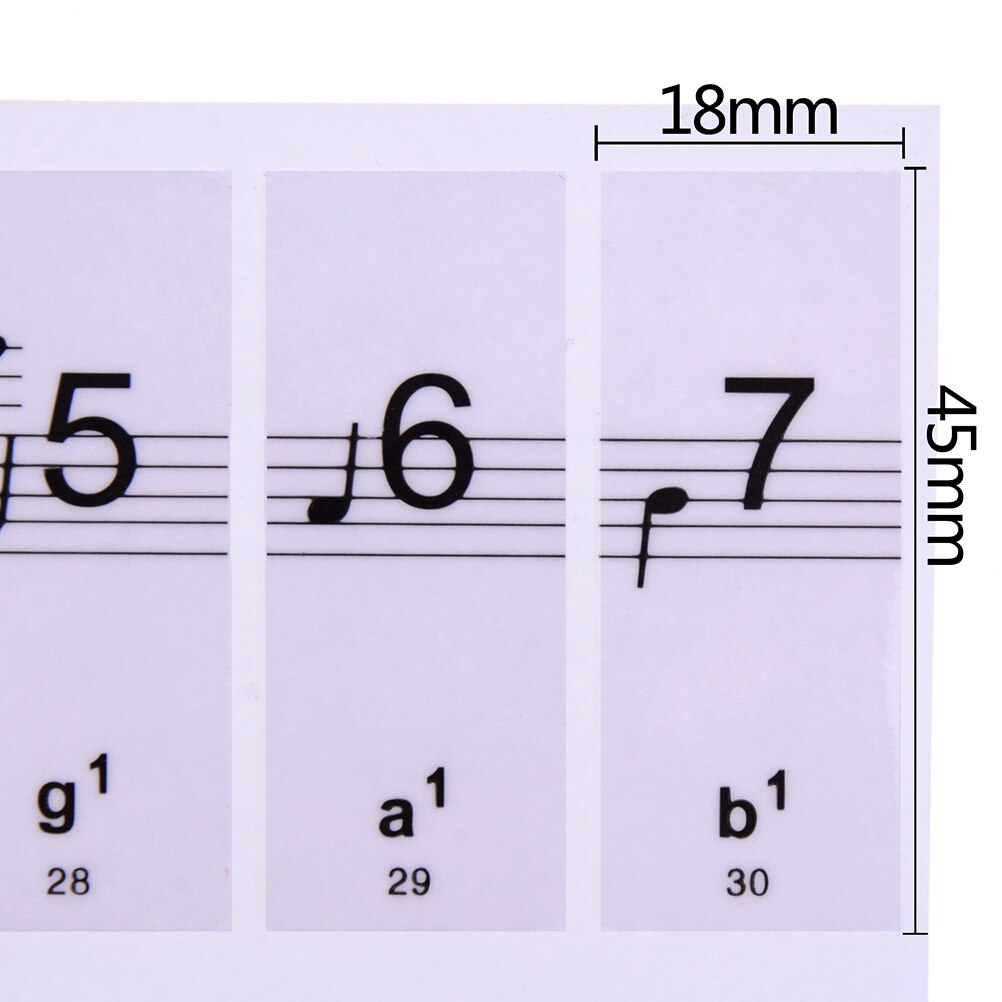 Electronic Keyboard 88Keys Stickers 1 Sheet Piano Keyboard 54/61 Keys Music Decal Label Note Learn Biginners Kids