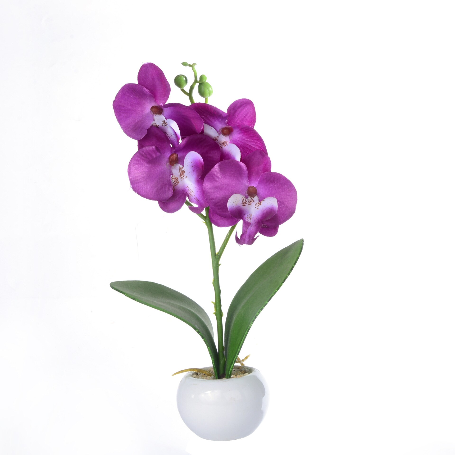 Arranjo com Vaso Decorativo Artificial Bonsai Flor Da Orquídea Phaleanopsis