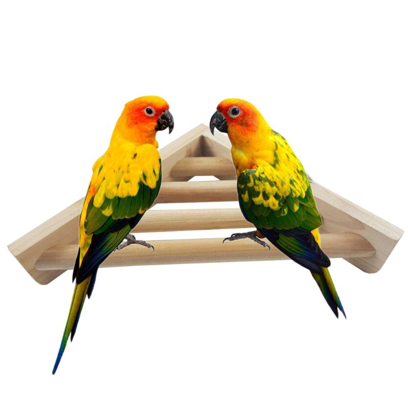 Haustier Holz Ecke Regal Leiter Plattform für Vogel KäFeige Stand Hamster Spielplatz