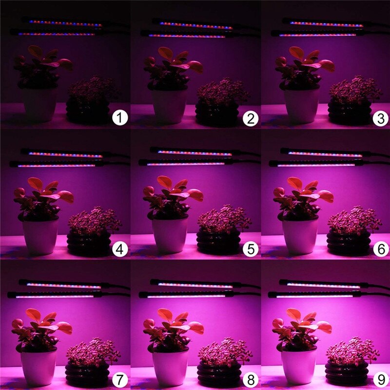 Vækstlys plantelys til indendørs planter , 40w 80 led pærer, gg lampe til plantevækst med 3/9/12h timer 10 dæmpbare