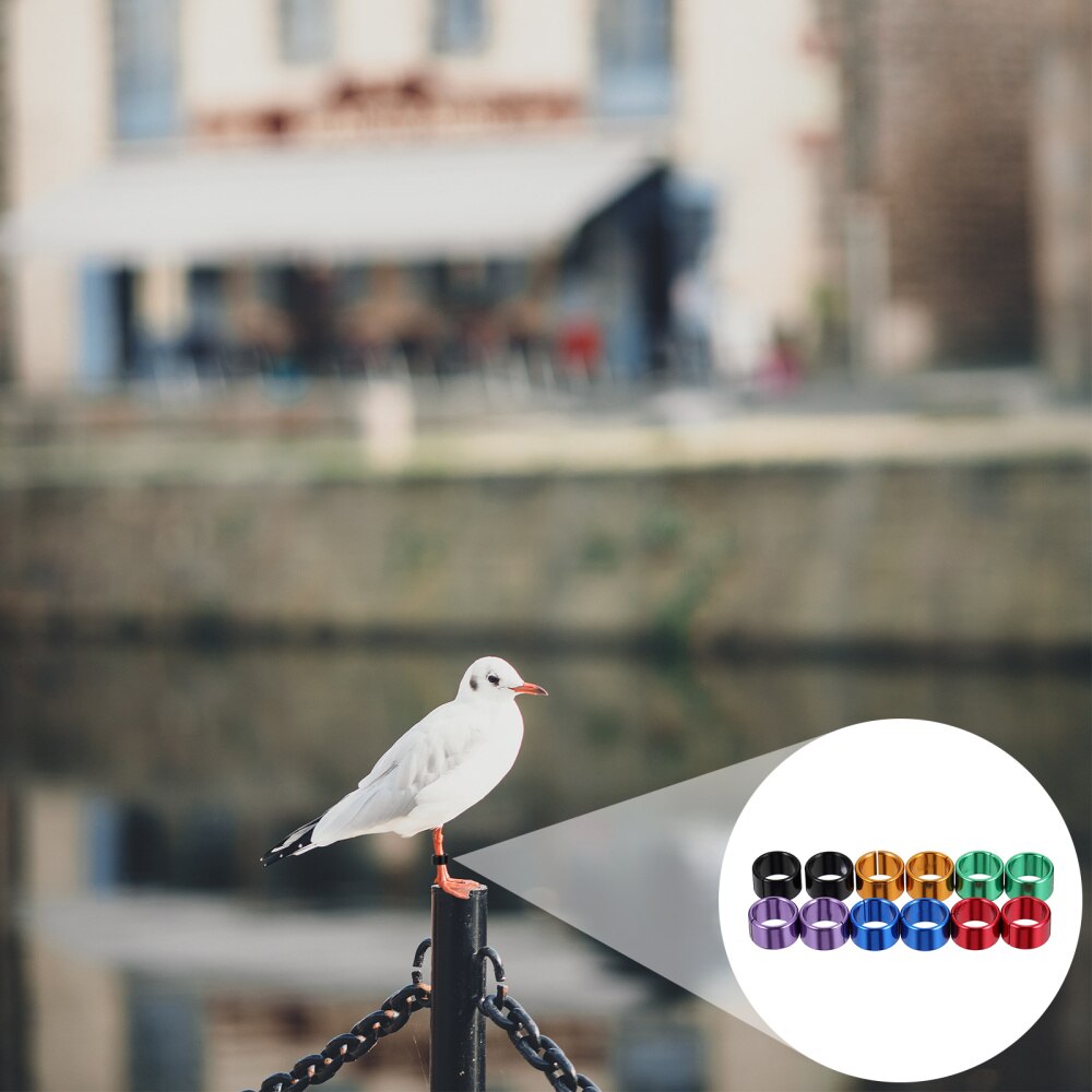 12Pcs Blank Chicken Leg Bands Bird Chicks Ducks Poultry Clip on Leg Rings