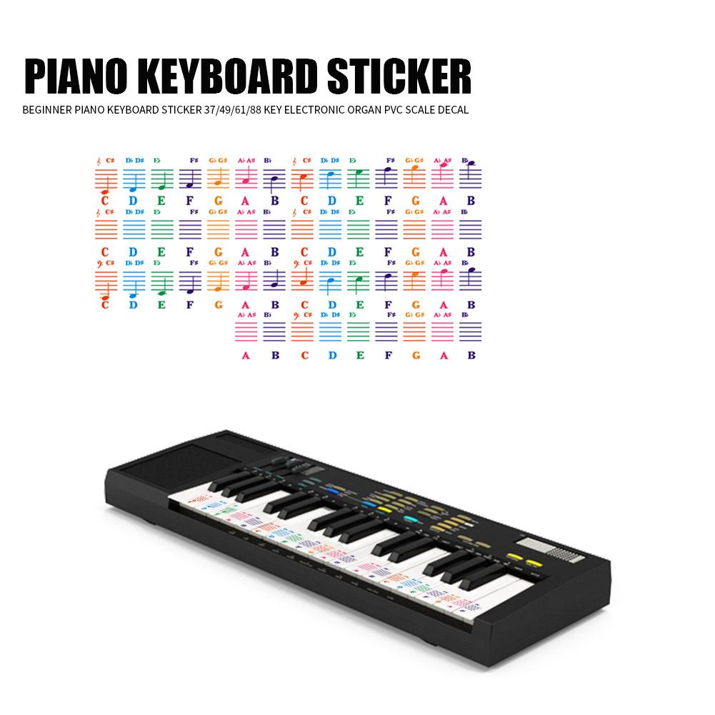 Durable Spectrum Keyboard Sticker Classic 25/49/61/76/88 Key Transparent Piano Keyboard Stave Note Sticker For Children