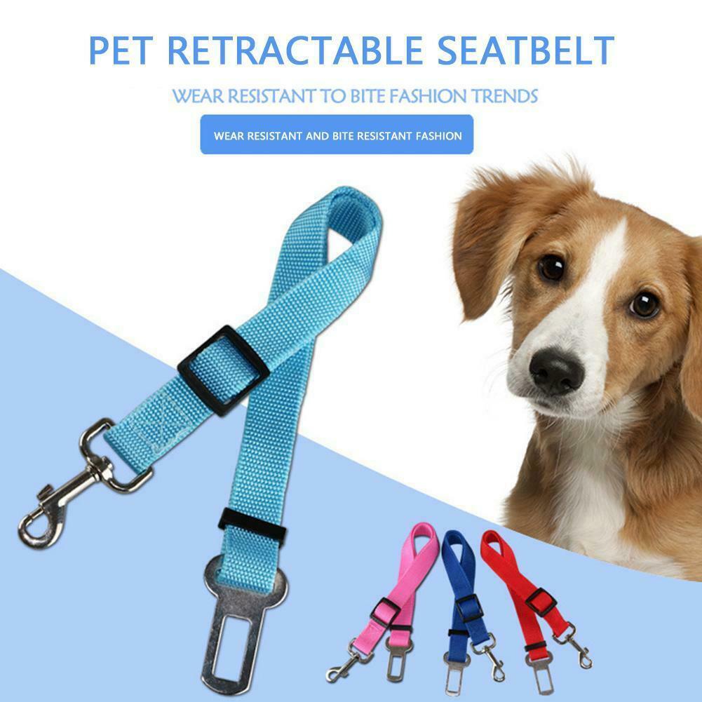 Huisdier Kat Hond Veiligheid Voertuig Autogordel Mascotas Hond Veiligheidsgordel Harnas Lead Clip Honden Supplies Accessoires Voor Auto Reizen