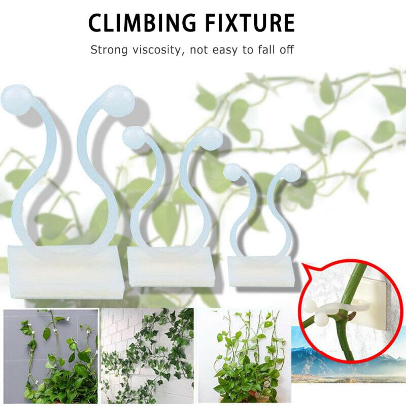 Usynlig væg rattan klemme clip fixtur væg klæbrig krog rattan fast clip holder beslag plante stent støtte